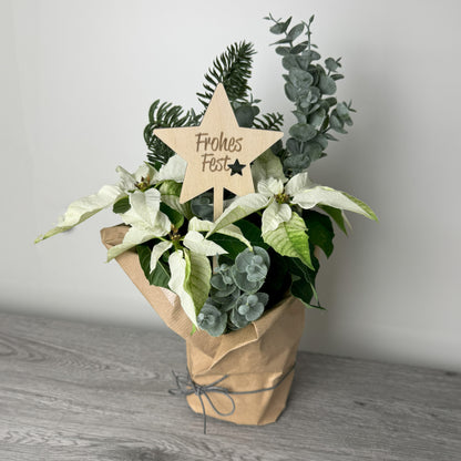 Dekorationsbeispiel - Blumenstecker in Sternenform mit Gravur "Frohes Fest" - Weihnachtsstern Eukalyptus Tanne nur zur Dekoration