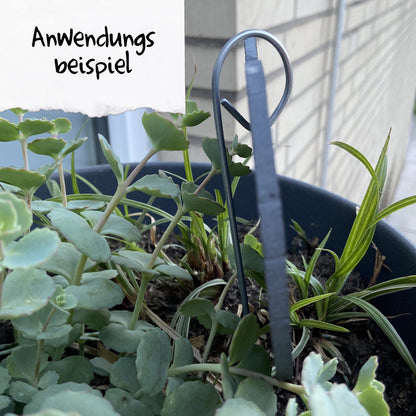 Blumenstecker, Pflanzstecker, Halter - passend für Schieferherzen - Deisterwerke
